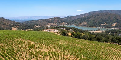 View from Black Ridge Vineyard Estates to Downtown San Jose and Lexington Reservoir.